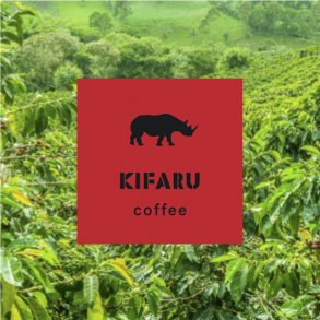 Kifaru